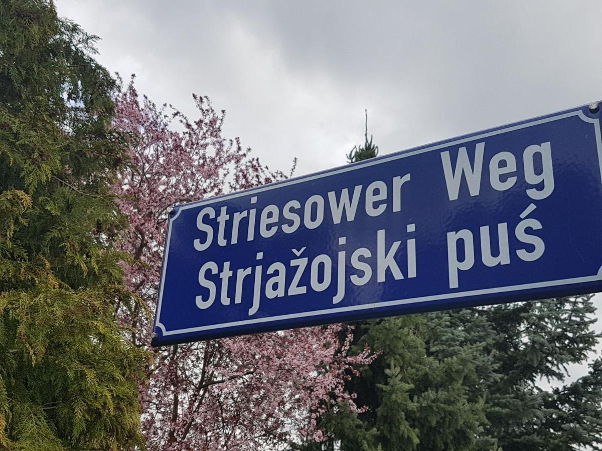 70m² Zweiraumwohnung am Spreewaldradweg in Cottbus Buitenkant foto
